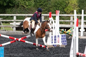 Class 3 -  Fences not above 2'3